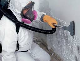 Best Mold Odor Removal Services  in West Mountain, UT